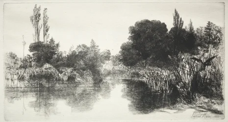 Shere Mill Pond (Większy Talerz)