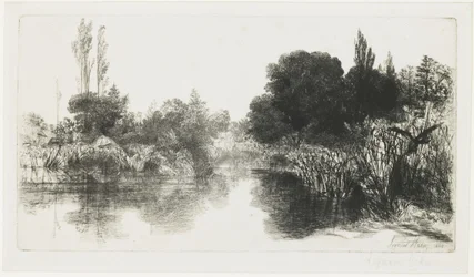 Shere Mill Pond (Większy Talerz), 1860