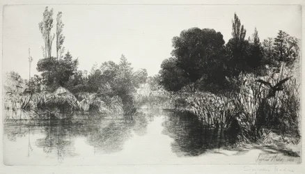 Shere Mill Pond, nr 11 (Duży Talerz)