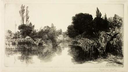 Shere Mill Pond, nr II (duża płyta)