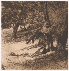 Pod osłoną..., 1859., 1859.