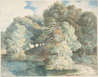 Drzewa nad jeziorem, Peamore Park, niedaleko Exeteru, Devon