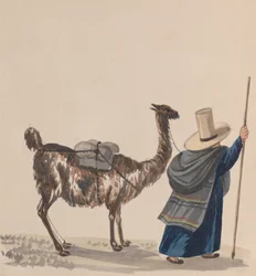 Kobieta spacerująca z lamą, z grupy rysunków przedstawiających strój peruwiański, ok. 1900 r. 1848.