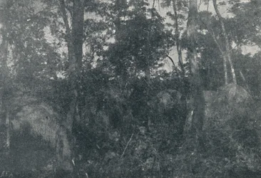 Kabiny indyjskie, 1895