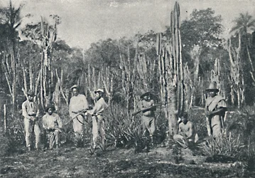 Pola, 1895