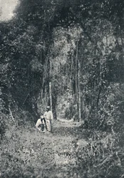 Autostrada Alto Parana, 1895