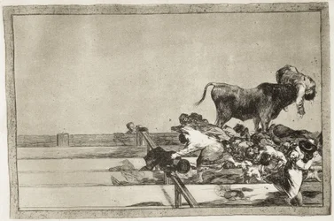 Straszliwe wydarzenia w pierwszych rzędach areny w Madrycie i śmierć burmistrza Torrejónu w 1801 roku. 1816. Plansza 21 z cyklu „Sztuka walki byków”. Hiszpania. Madryt (wspólnota autonomiczna). Madryt. Biblioteka Narodowa