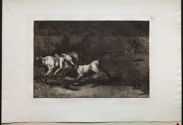 Walki byków: Mariano Ceballos, Indianin Alias, zabija byka ze swojego konia, 1876.