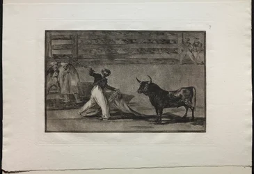 Walki byków: pochodzenie harpunów lub banderilli, 1876.