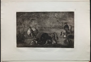 Walki byków: pies wypuścił byka, 1876.