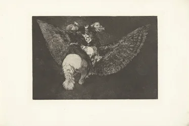 latające szaleństwo Disparate volante Los Disparates (The Follies) (tytuł serii) Los Proverbios (Przysłowia) (tytuł serii)