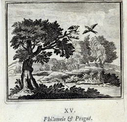Filomele i Progne. Baśnie Jeana de La Fontaine