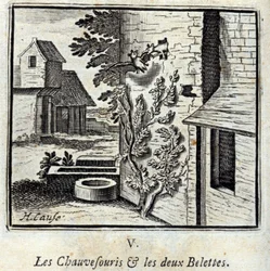 Nietoperz i dwie Łasice. Bajki Jean de La Fontaine (1621-95). Ilustracja autorstwa François Chauveau (1613-1676). Wydanie z 1728 r.
