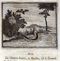 Nietoperz, krzak i kaczka. Bajki Jean de La Fontaine (1621-95). Ilustracja François Chauveau (1613-1676). Wydanie z 1728 r.