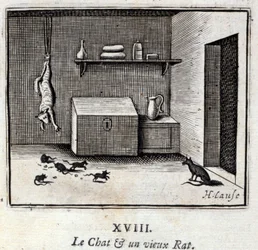 Kot i stary szczur. Bajki Jean de La Fontaine (1621-95). Ilustracja Francois Chauveau (1613-1676). Wydanie z 1728 r.