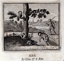 Kot i szczur. Bajki Jean de La Fontaine (1621-95). Ilustracja Francois Chauveau (1613-1676). Wydanie z 1728 r.