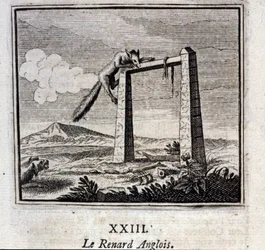 Lis angielski. Bajki Jean de La Fontaine (1621-95). Ilustracja François Chauveau (1613-1676). Wydanie z 1728 r.