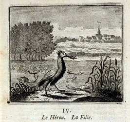 Czapla. Bajki Jean de La Fontaine (1621-95). Ilustracja autorstwa François Chauveau (1613-1676). Wydanie z 1728 r.