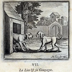 Wszy i jej towarzysz. Bajki Jean de La Fontaine (1621-95). Ilustracja Francois Chauveau (1613-1676). Wydanie z 1728 r.