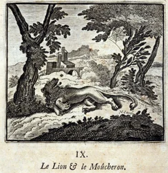 Lew i muchołówka. Bajki Jean de La Fontaine (1621-95). Ilustracja Francois Chauveau (1613-1676). Wydanie z 1728 r.