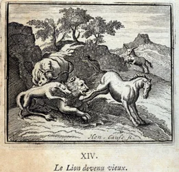 Lew zestarzał się. Bajki Jean de La Fontaine (1621-95). Ilustracja Francois Chauveau (1613-1676). Wydanie z 1728 r.