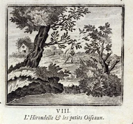 Jaskółka i małe ptaszki. Bajki Jean de La Fontaine (1621-95). Ilustracja François Chauveau (1613-1676). Wydanie z 1728 r.