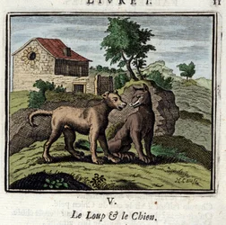 Wilk i pies. Bajki Jeana de La Fontaine (1621-1695). Ilustracja Francois Chauveau (1613-1676). Wydanie z 1728 r.