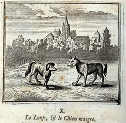 Wilk i chudy pies. Bajki Jean de La Fontaine (1621-95). Ilustracja François Chauveau (1613-1676). Wydanie z 1728 r.