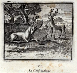 Chory jeleń. Bajki Jean de La Fontaine (1621-95). Ilustracja François Chauveau (1613-1676). Wydanie z 1728 r.