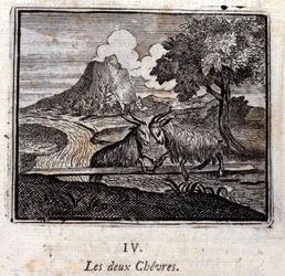 Dwie kozy. Bajki Jean de La Fontaine (1621-95). Ilustracja François Chauveau (1613-1676). Wydanie z 1728 r.