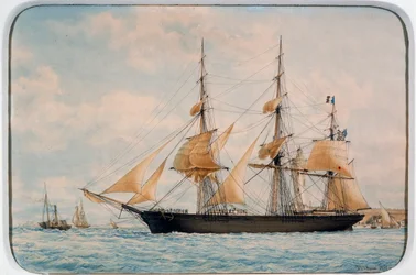 Maszynka do strzyżenia New York Ocean Herald, autorstwa Francois Roux (1811-1882), akwarela