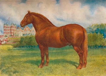 Ojciec Suffolk Prince Wedgwood, c1902 c1910