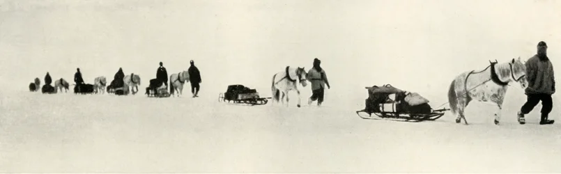 Kucyki w marcu 1911, 1913