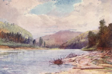 Nowa Zelandia: Poniżej skrzyżowania rzek Buller i Inangahua (kolorowa litografia)