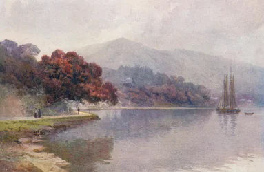 Nowa Zelandia: Pohutukawa in Bloom, Whangaroa Harbour (kolorowa litografia)