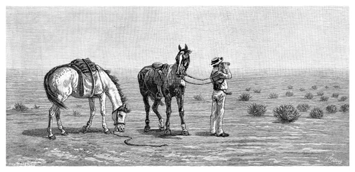 Nic w zasięgu wzroku, 1886.