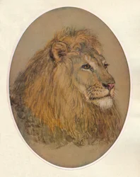 Głowa Lwa, c1896