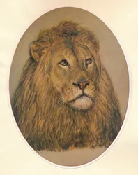 Głowa Lwa, c1896