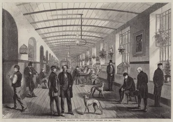 Szpital Królewski w Betlejem, Galeria dla Mężczyzn