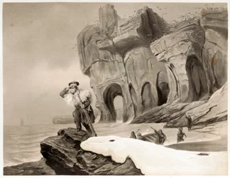Bear Island z Travels in Scandinavia, Lapland, Spitsbergen and the Faroes, wyd. 1852.