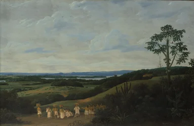 Brazylijski krajobraz, 1650