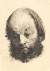 Czarnobrody, Garibaldi