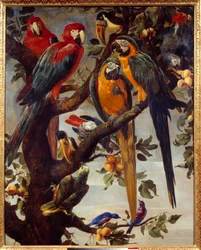 Papugi i inne ptaki Obraz Fransa Snydersa (1579-1657) XVII w. Niedz. 1,22x0,98 m Grenoble, Musee des Beaux Arts