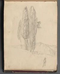 Album z Widokami Rzymu i okolic, Studia krajobrazowe, s. 20a: Drzewa