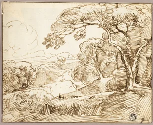 Panoramiczny krajobraz