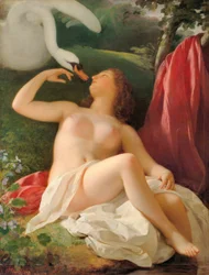 Skóra spotyka Schwan