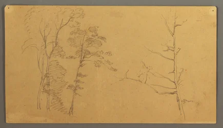 Rysunek, Grupa drzew z górną częścią martwego drzewa, 1866 r.