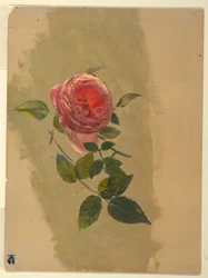 Rysunek, konar róży, 1860-70