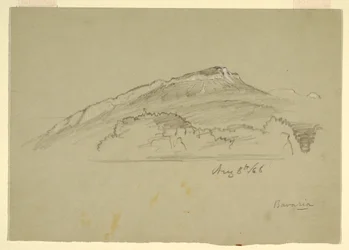 Rysunek, Drzewo, Bawaria, 8 sierpnia 1868 r.
