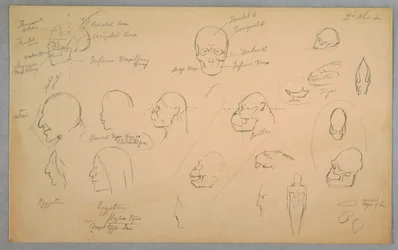 Rysunek, badania anatomiczne, 1865-70